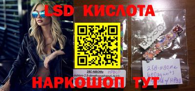 прущие грибы Краснознаменск