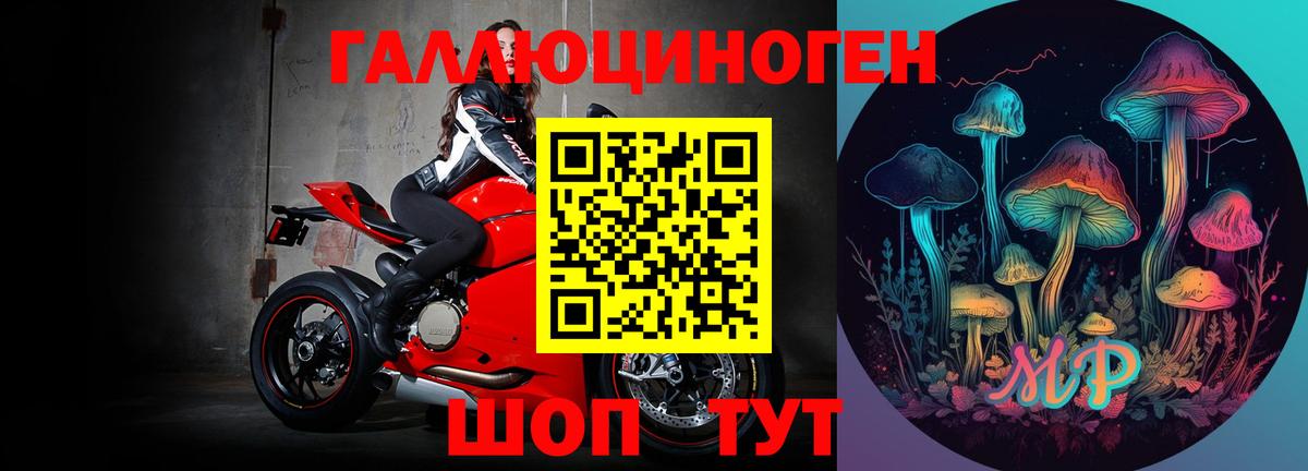 Галлюциногенные грибы GOLDEN TEACHER Киселёвск